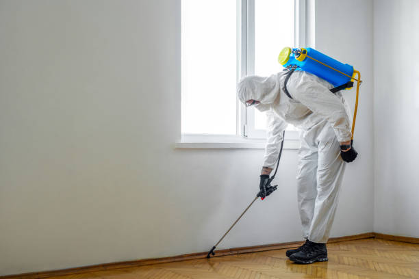 Best Pest Control for Businesses  in USA